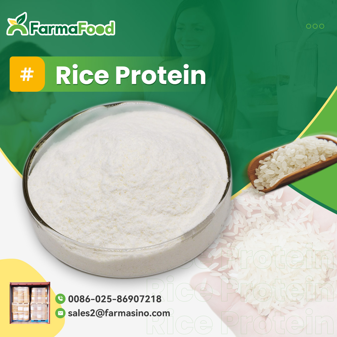 Rice Protein In Food Additives