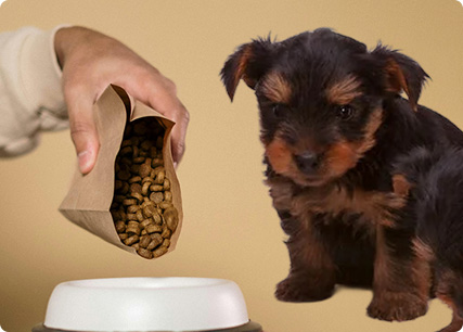 Pet Food Advertising Compliance Determination