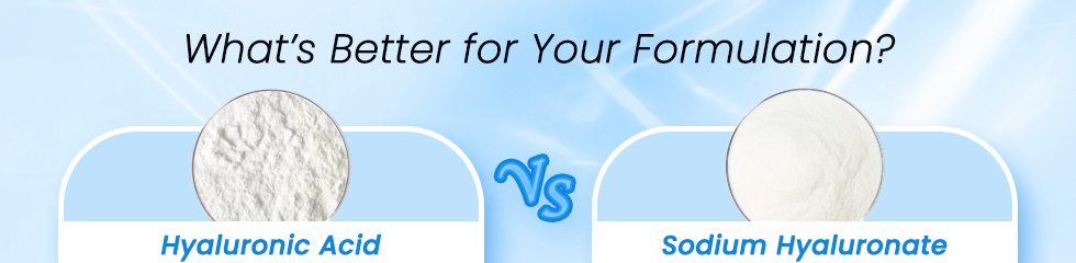 #Hyaluronic Acid vs. #Sodium Hyaluronate: What’s Better for Your Formulation | Farma-Food Food additives