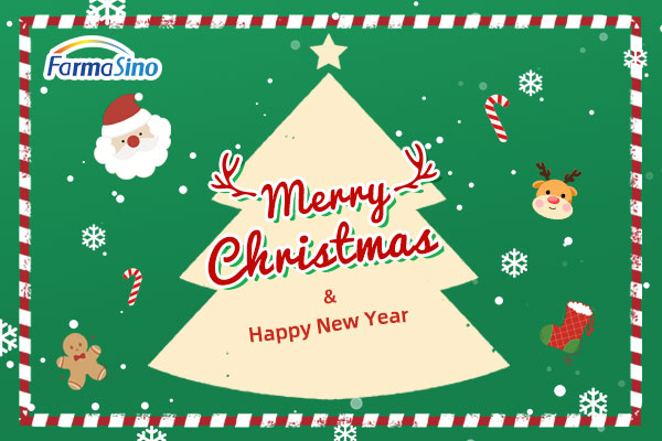 Merry Chirstimas 2025 !